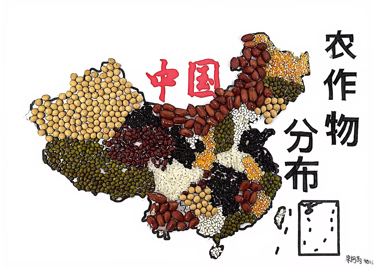 564f28a8-60fc-482e-a071-b8125b35c597.jpg