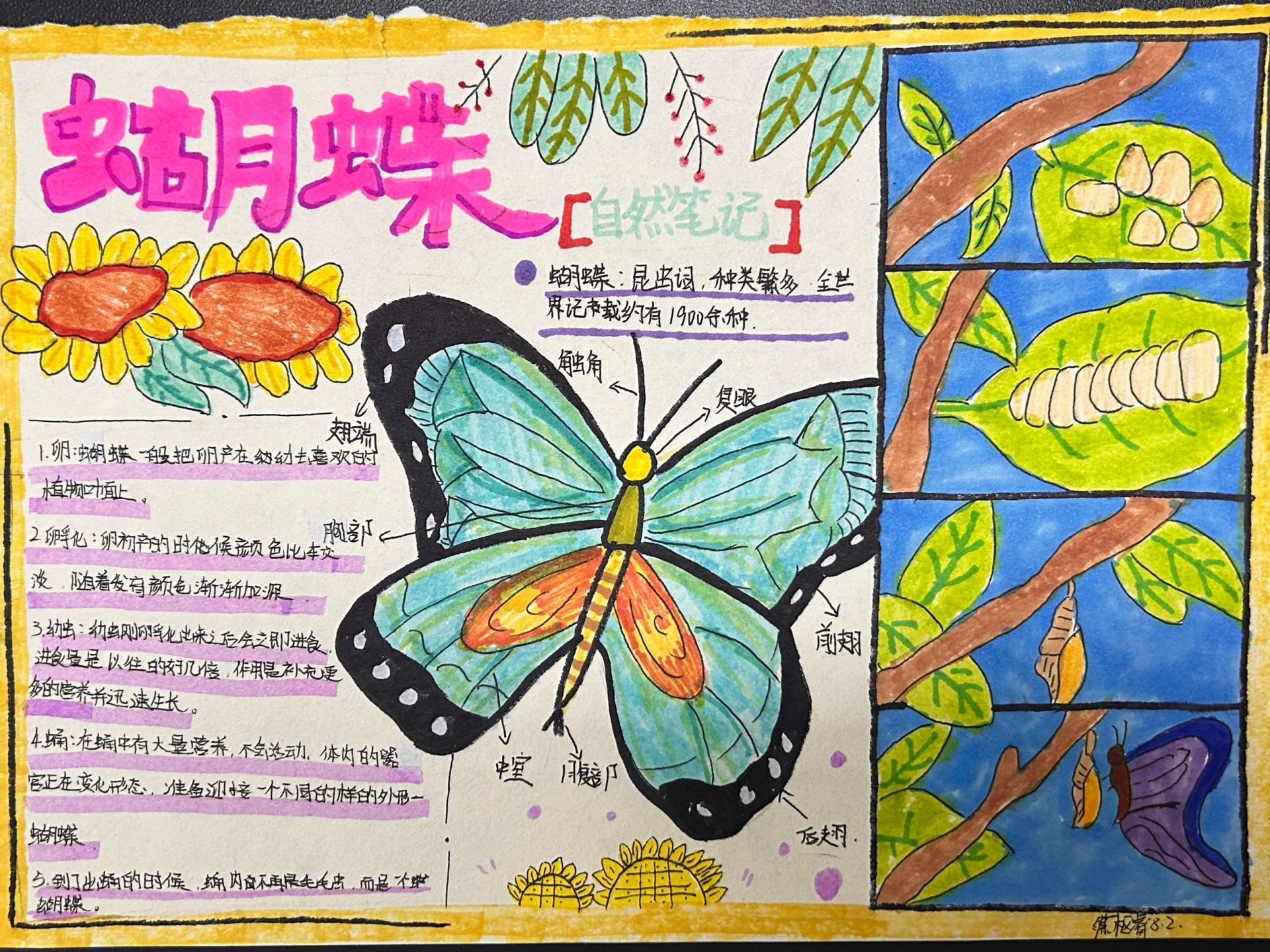 6B3248E8DBE2232D2580B6447F8F4CF4.png