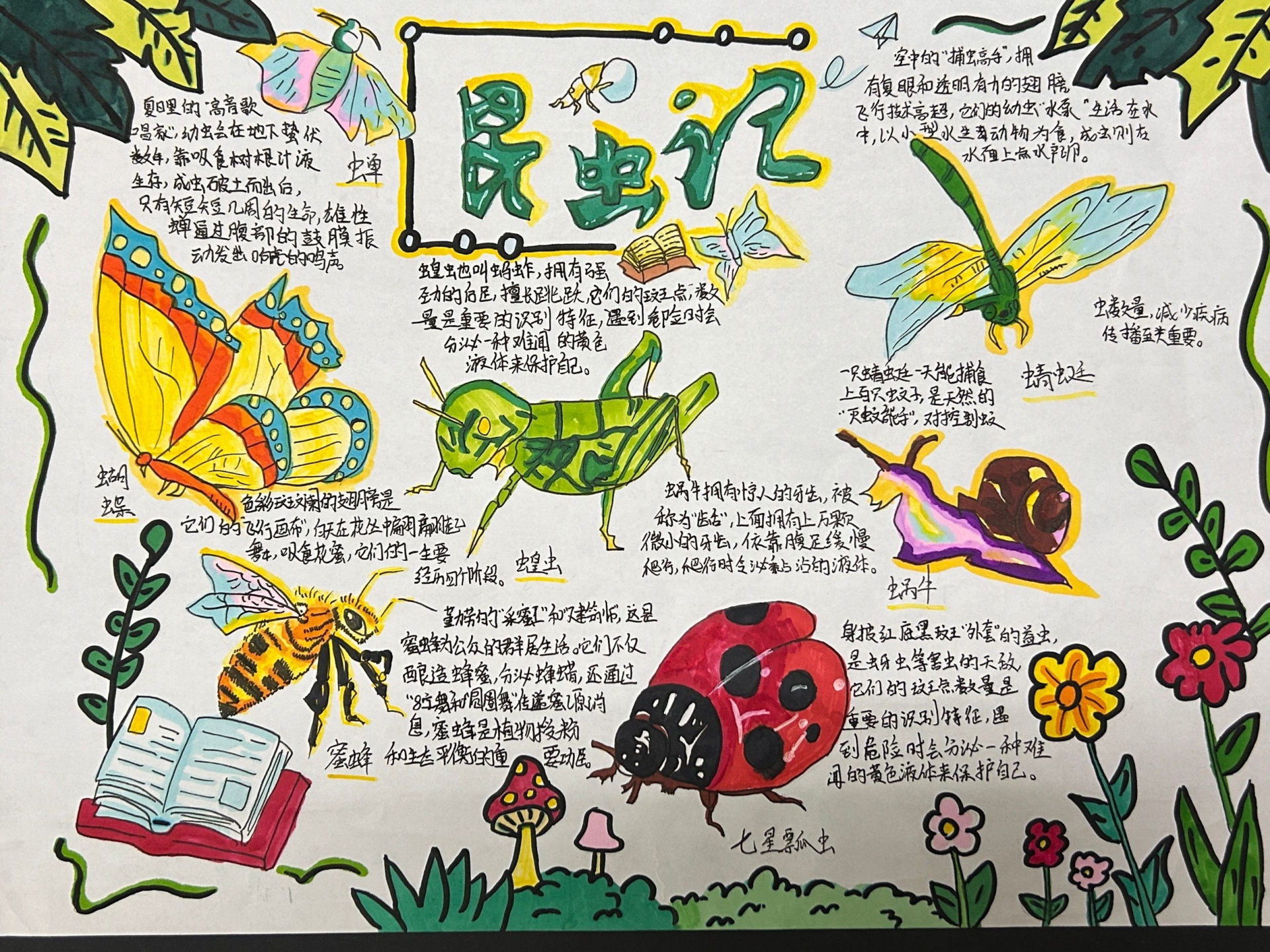 D7A49E4769A64619A70E9FE0212505A9.png